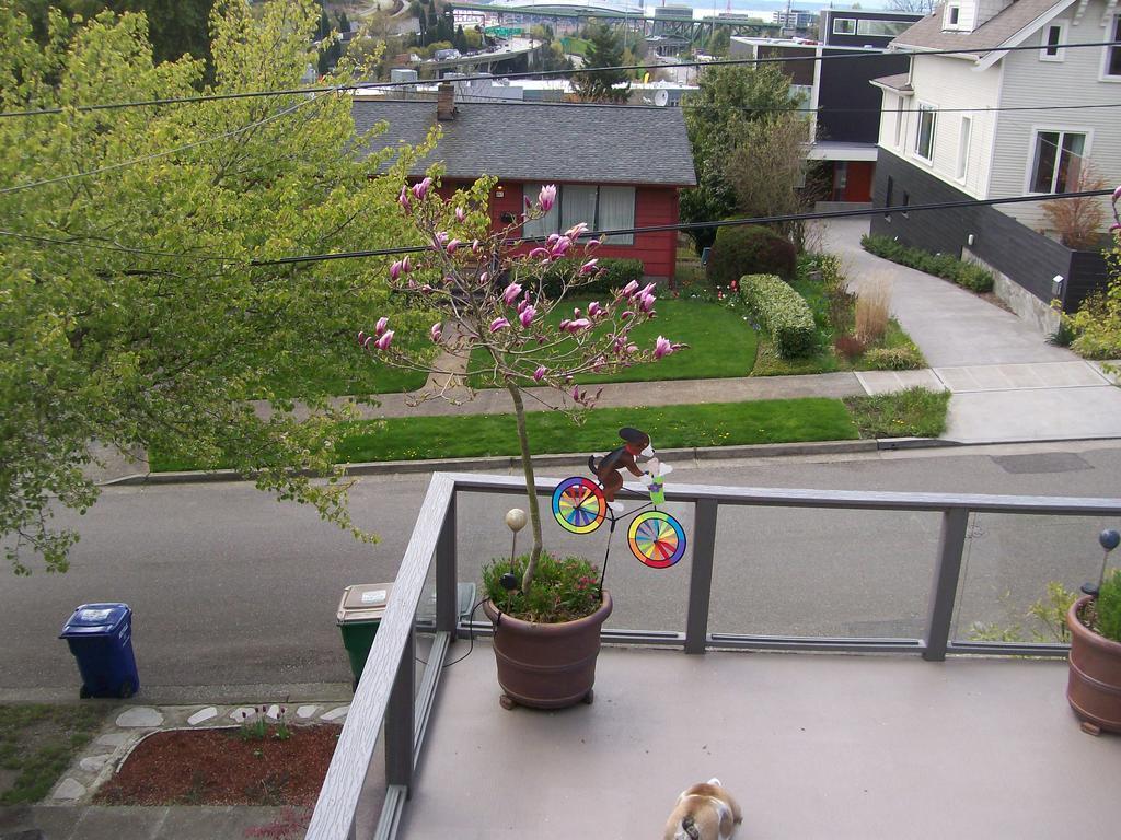 Sleeping Bulldog Bed & Breakfast Bed & Breakfast Seattle Exterior photo